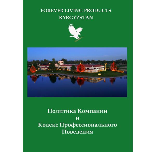 Компания политикасы